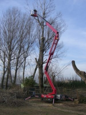 Hinowa Track Mount Lightlift 23.12 IIIs Lithium