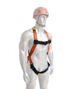 Safety Harness and Lanyard